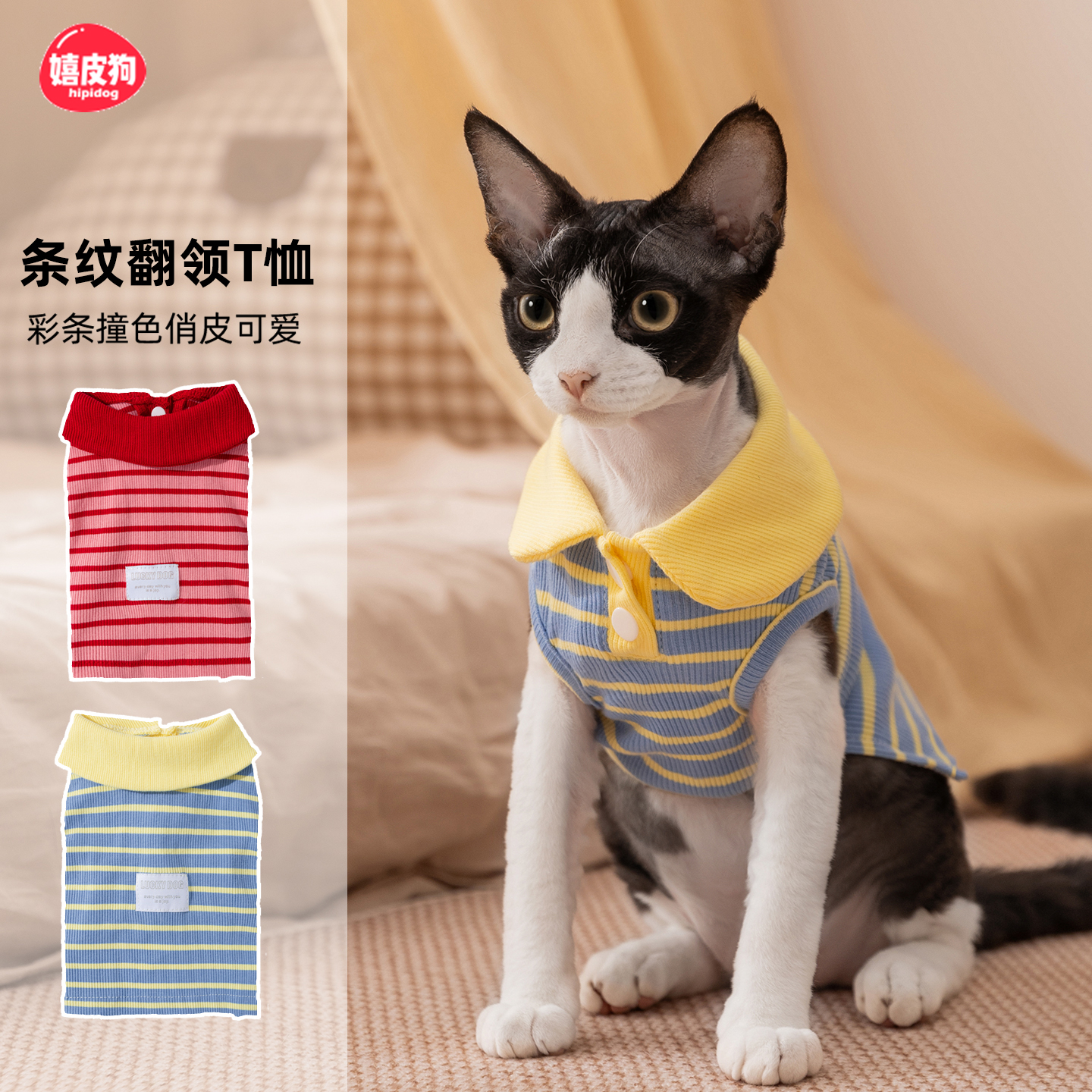 嬉皮狗春秋新款可爱小猫咪衣服防掉毛薄款布偶猫宠物幼猫秋天卫衣