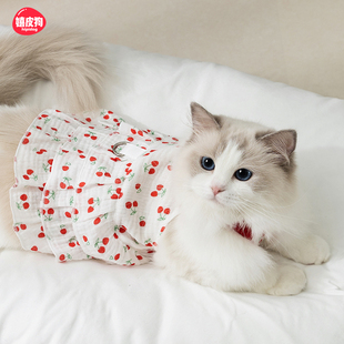 薄款 嬉皮狗宠物夏天连衣裙小猫咪衣服防掉毛布偶幼猫德文夏季 裙子