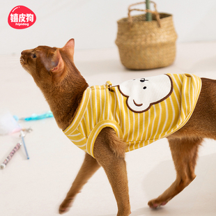 阿比西尼亚猫衣服夏季薄款防掉毛布偶猫德文无毛猫宠物小猫咪背心