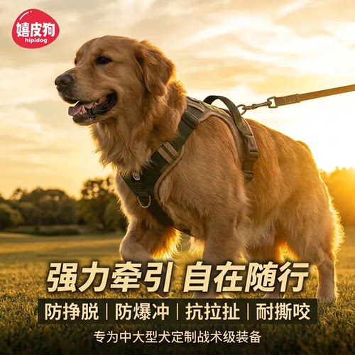 嬉皮狗中大型犬狗狗胸背