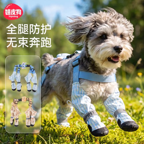 狗狗萌兽护行背带耐磨鞋子