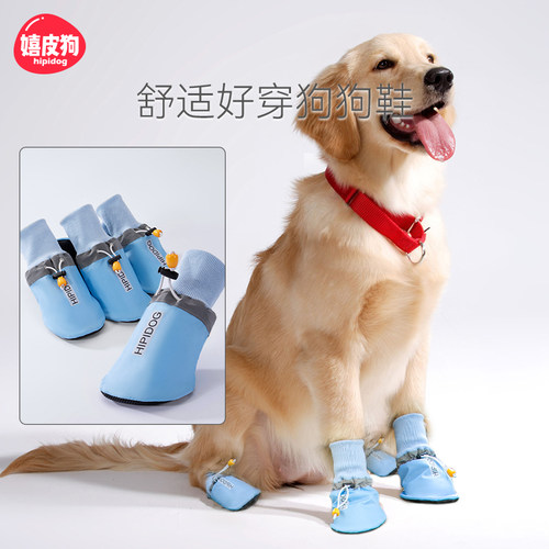 热销100W+丨中大型犬专属鞋子