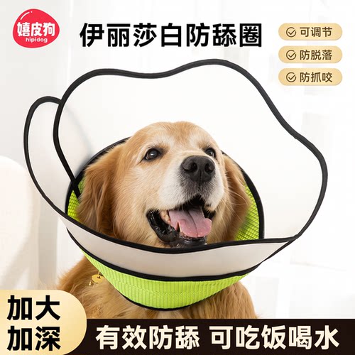 嬉皮狗软硬双拼大狗伊丽莎白圈