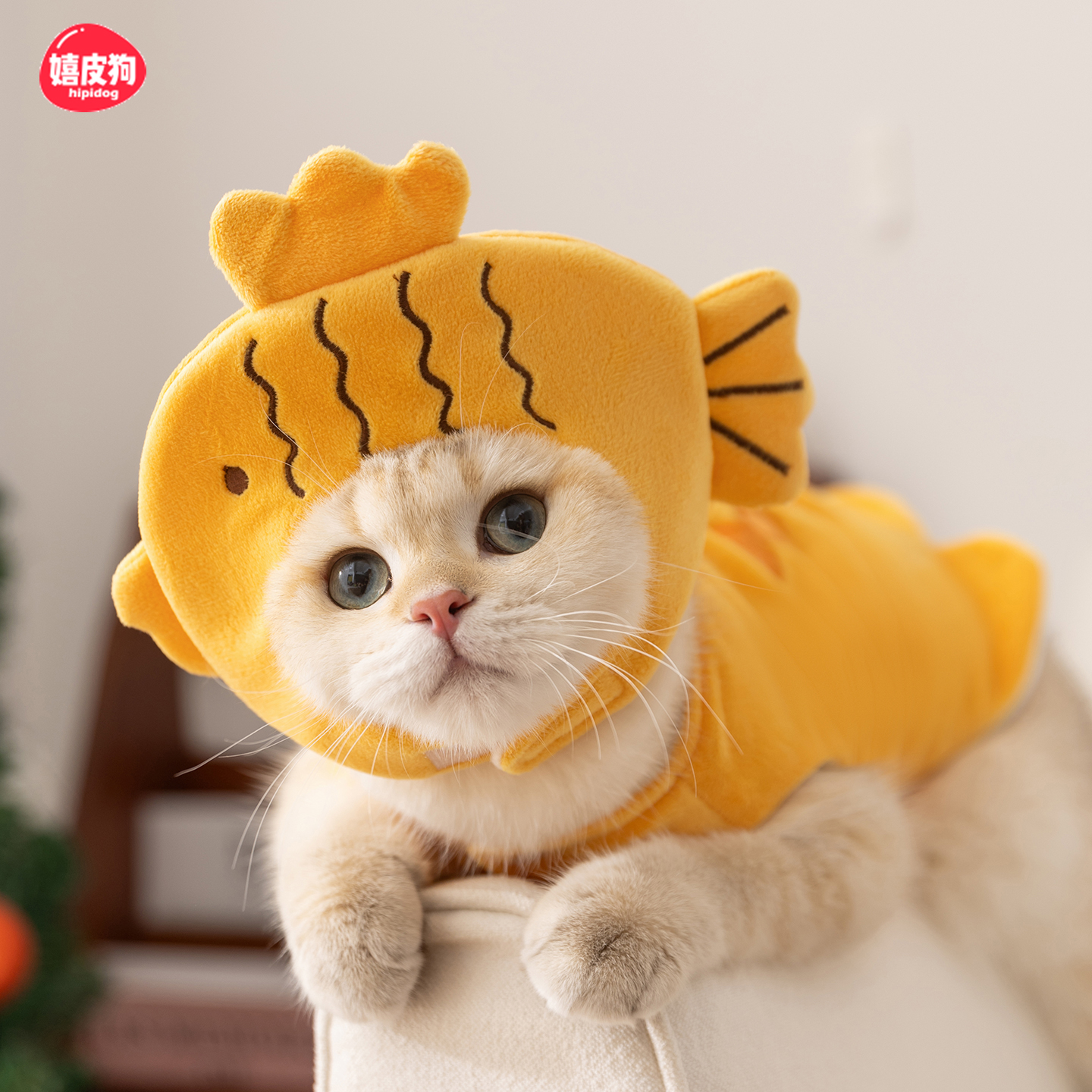 嬉皮狗搞笑搞怪小猫咪衣服防掉毛布偶德文宠物金渐层幼猫冬季马甲