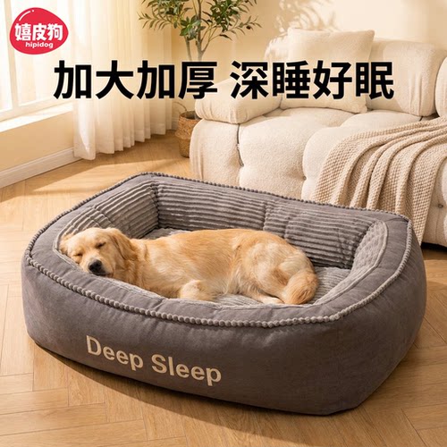 嬉皮狗大狗沙发窝丨1000w人喜欢