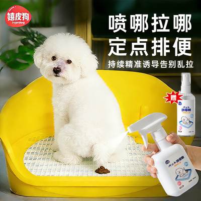 小软宠物诱导剂清洁用品