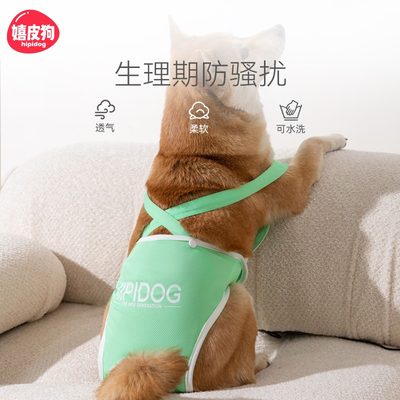 狗狗生理裤姨妈大型犬柯基