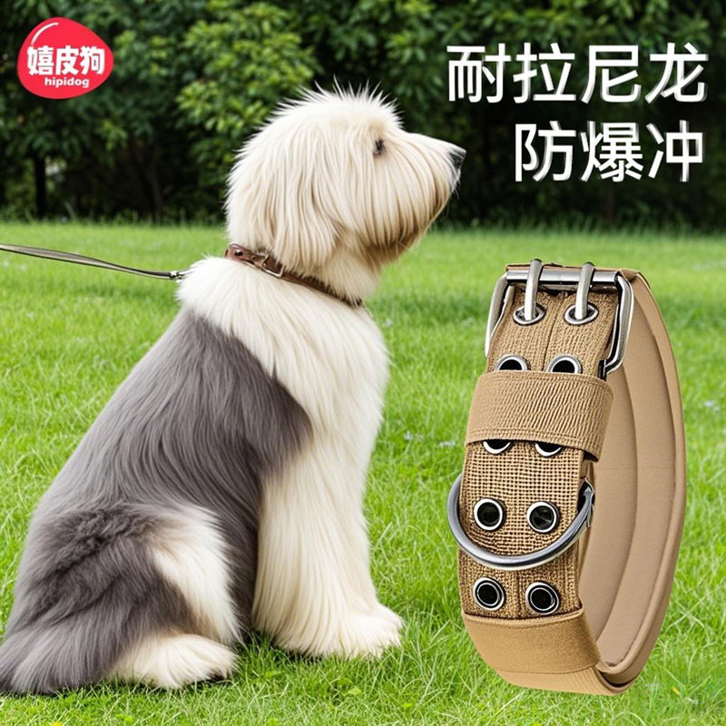 古牧专用项圈狗狗项圈
