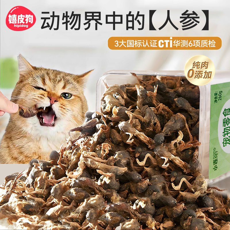 FD锁鲜技术丨鹌鹑冻干猫咪零食