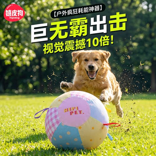 大型犬疯狂耗能巨无霸互动球