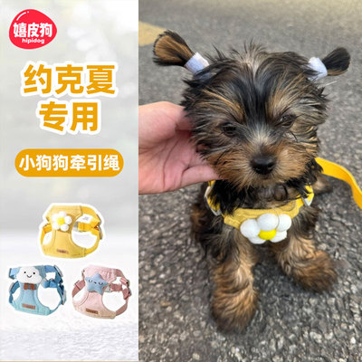 小体约克夏专用牵引绳幼犬专用
