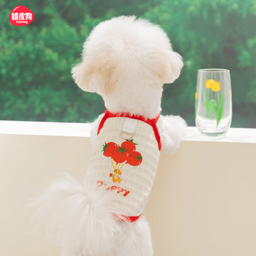 小狗狗衣服薄款泰迪比熊宠物约克夏小型犬雪纳瑞西高地背心春夏装
