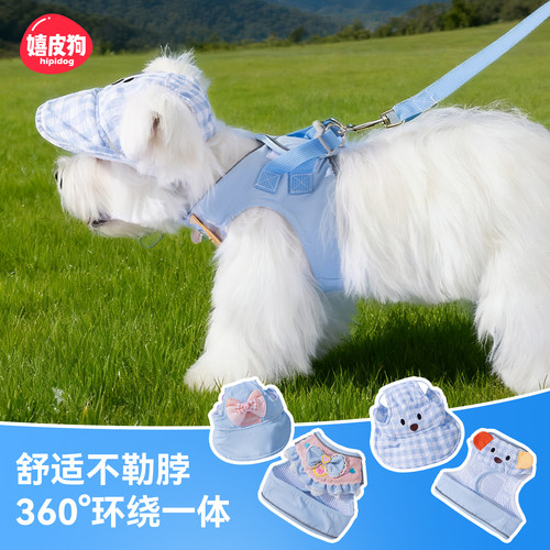 狗狗牵引绳胸背萌趣套装小狗遛狗外出牵引绳宠物狗中小型犬防爆冲