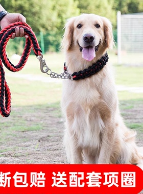 狗狗牵引绳大中型犬金毛拉布拉多狗绳子防咬断狗链子狗脖圈p绳p链