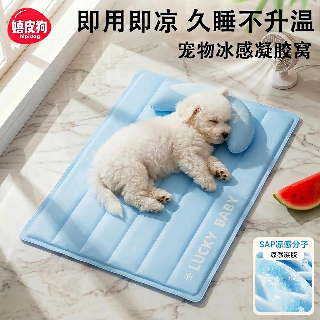 夏天必备宠物冰垫丨1000w人喜欢