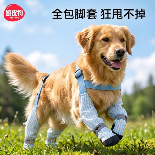 背带防脱耐磨狗鞋狂甩不掉