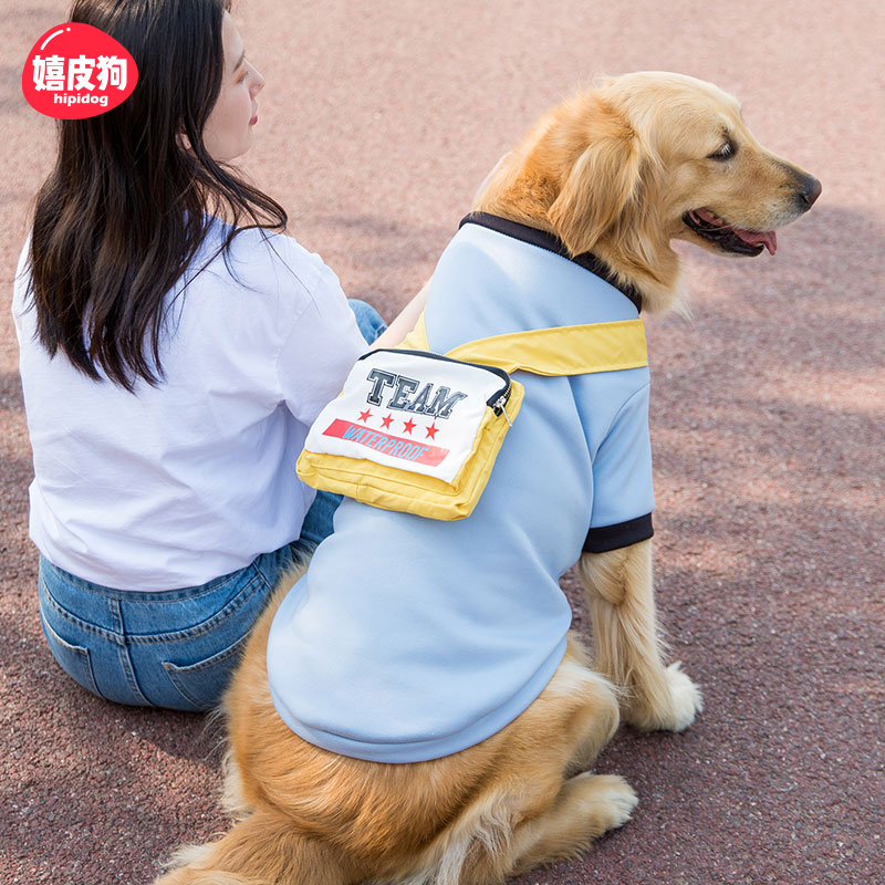 金毛狗狗大型犬秋季卫衣