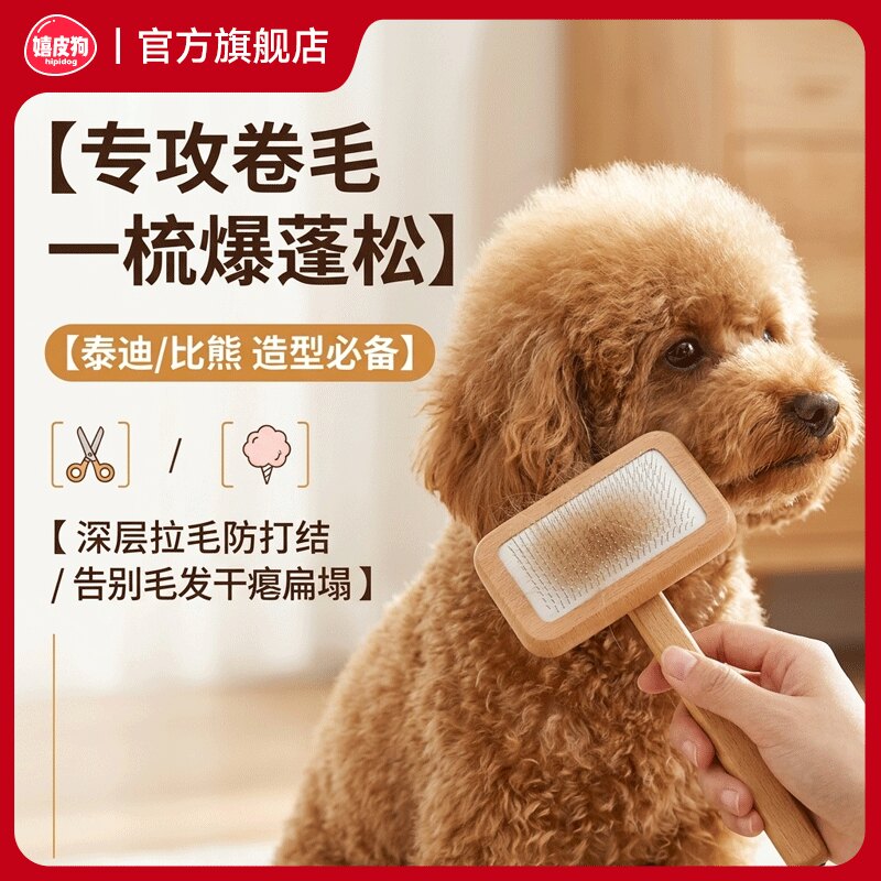 泰迪比熊专攻卷毛气垫拉毛梳图片
