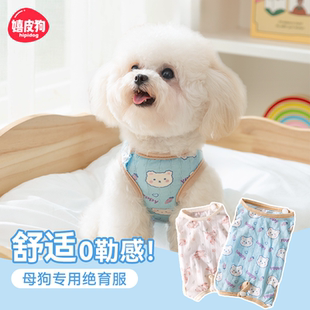 母狗绝育服手术服宠物小型犬术后狗狗断奶服戒奶服伤口防舔舐衣服