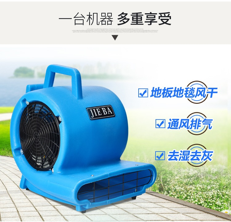 Jie Ba Blow dryer BF533 high school Third gear wind speed floor carpet Dry 1000Win the Electrical life , Other home appliances , Other household appliances  category - from Buy2taobao.com to provide professional Taobao agent buy service
