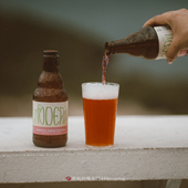 Modern Guest摩登客西柚茉莉花茶精酿啤酒海盐荔枝果娘小甜水低度