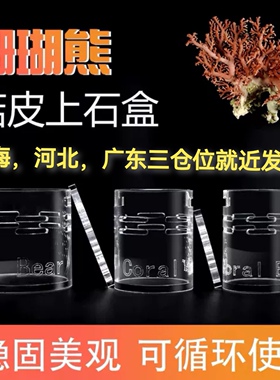 珊瑚熊上石盒 sps软体珊瑚基座海缸繁殖防菇皮丢失菇皮革上石盒