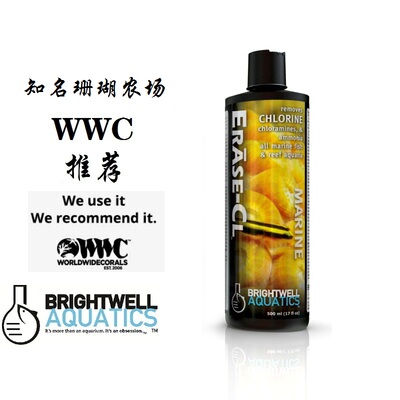 美国BW Erase-CL氯氨清除液除氯气和亚硝酸盐美国Brightwell