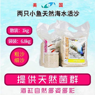 美国两只小鱼活沙天然海水活砂鱼缸底沙免洗法红沙子底砂海沙