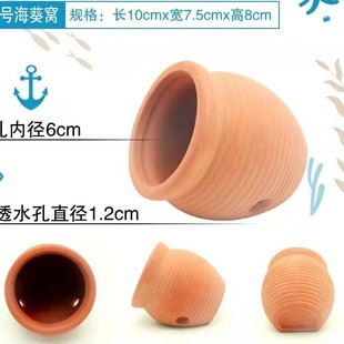 奶嘴海葵窝小丑繁殖罐奶嘴杯地毯屋小丑家葵巢海葵珊瑚罐子造景