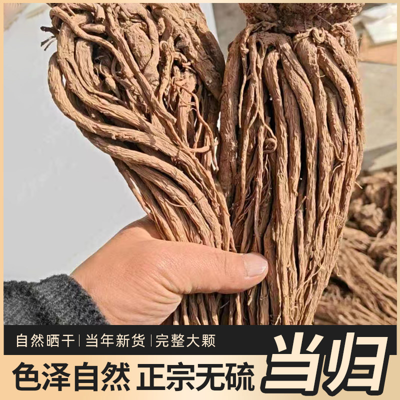 秦岭新货当归正宗原产地干货当归