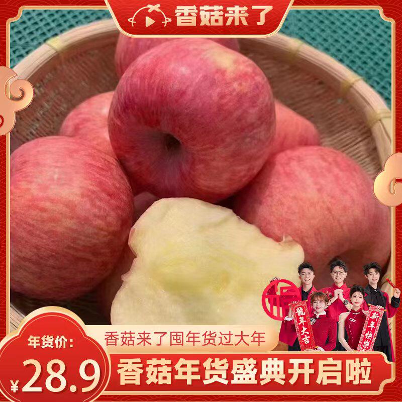 【香菇年货节】新鲜水果陕西延安洛川红富士苹果高原山地苹果
