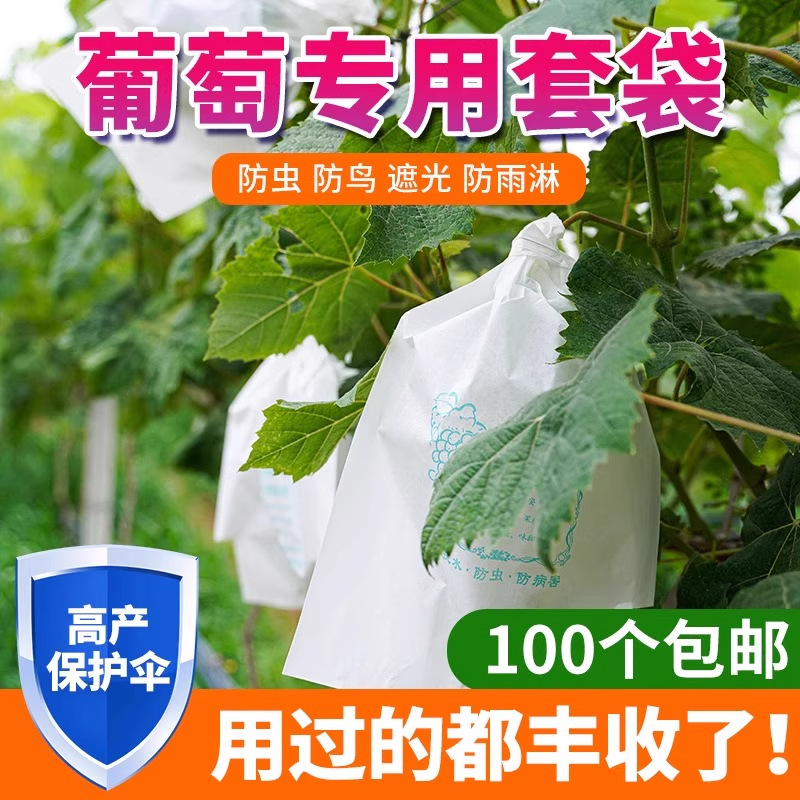 葡萄套袋袋防虫葡萄套育袋葡纸袋葡萄袋果袋袋子防水萄的