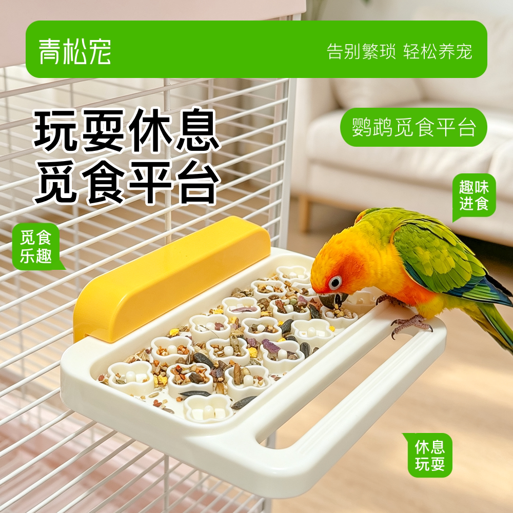 青松宠鹦鹉觅食平台休息站台图片