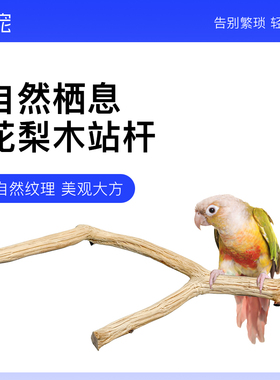 青松宠鹦鹉花梨木站杆天然原木树枝站架虎皮牡丹站台啃咬玩具秋千