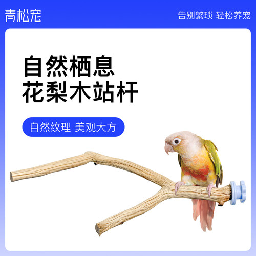 青松宠鹦鹉花梨木站杆