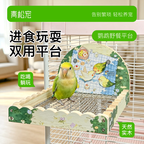 青松宠鹦鹉卡通插画野餐站台