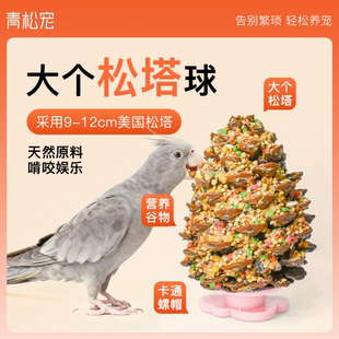 青松宠鹦鹉零食大个松塔啃咬球磨牙松果训练奖励磨嘴谷物棒鸟玩具