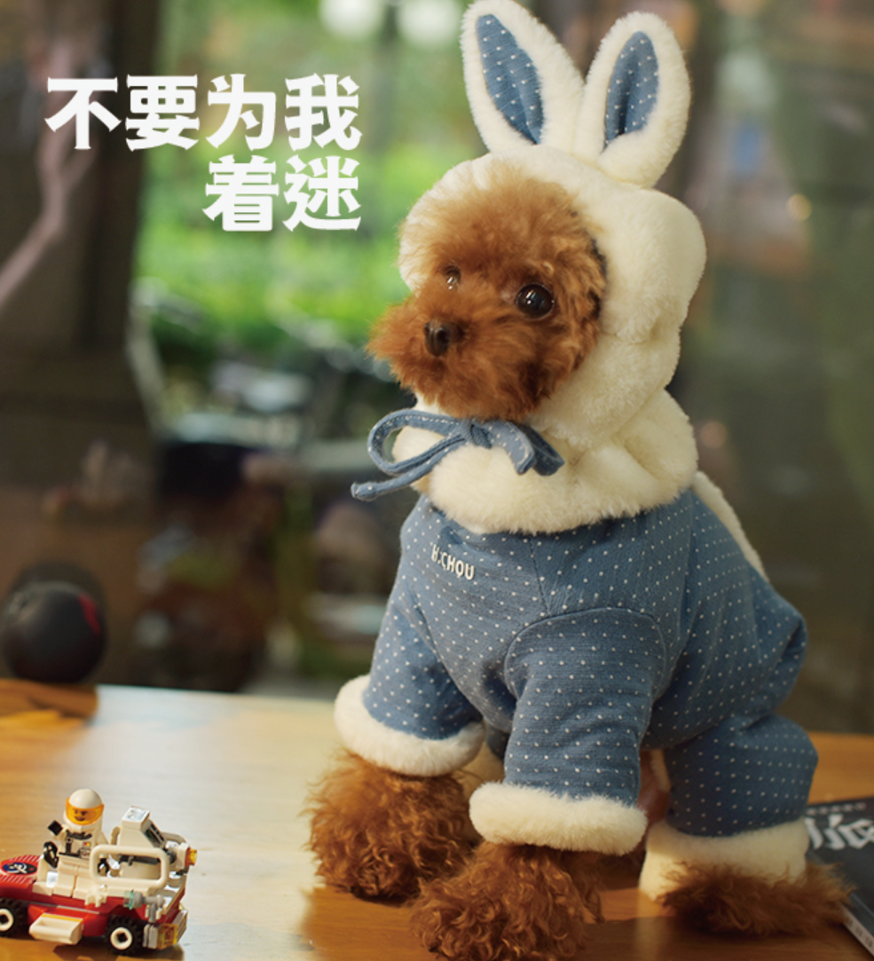 chouchou丑丑宠物公狗母狗装四脚棉衣可爱兔子装泰迪比熊宠物衣服