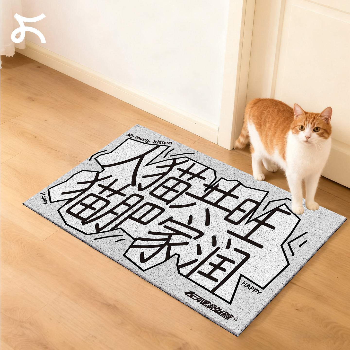 左咸敦道原创家用入户门丝圈地垫