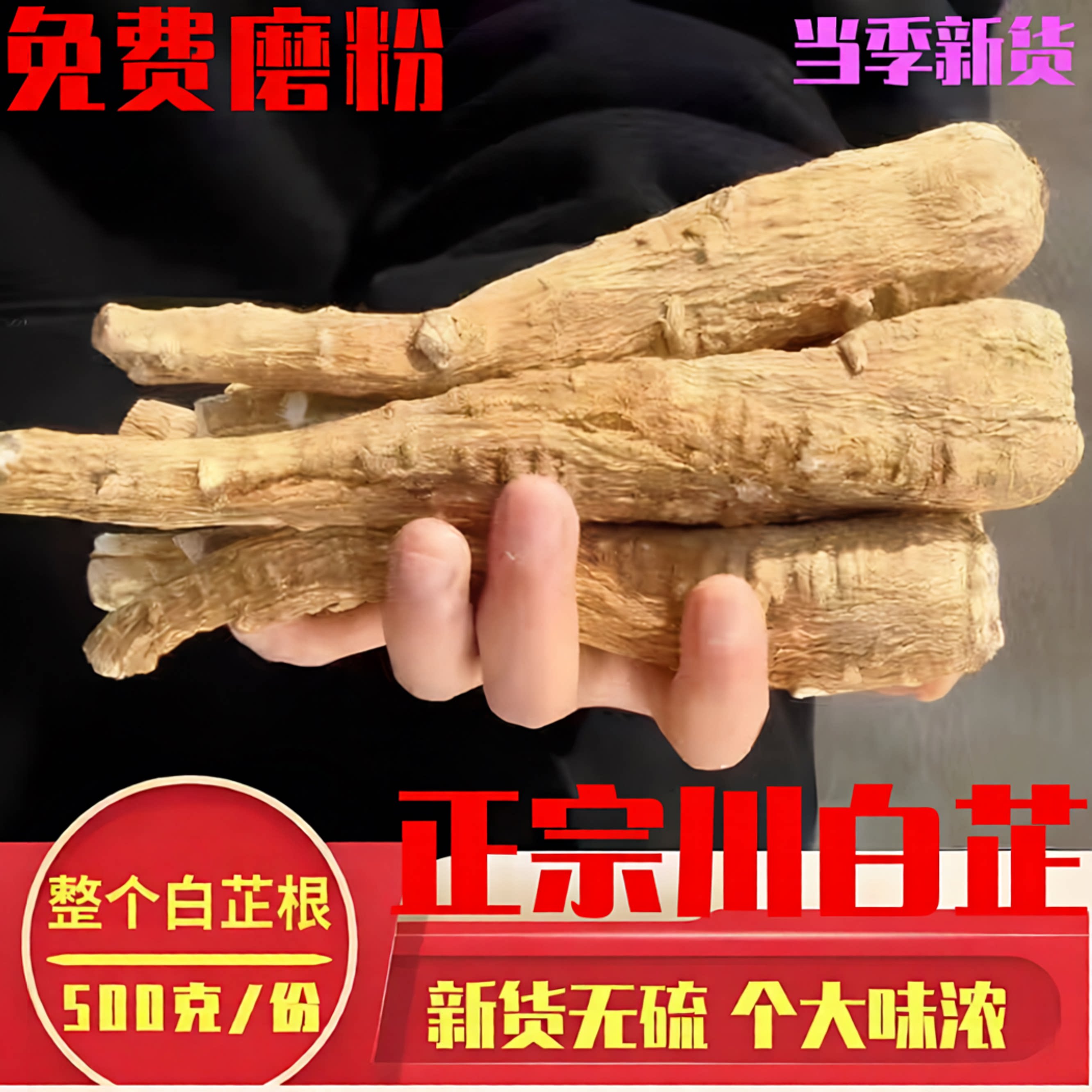 无熏硫白芷根去腥解腻