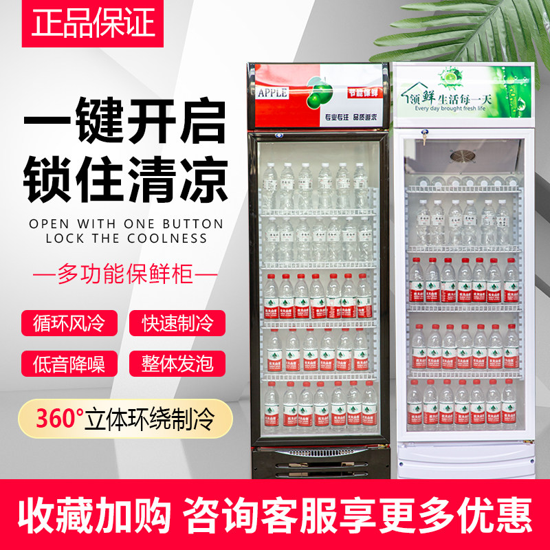 商用立式饮料展示柜冷藏保鲜柜大容量啤酒柜铜管节能铜管冷柜