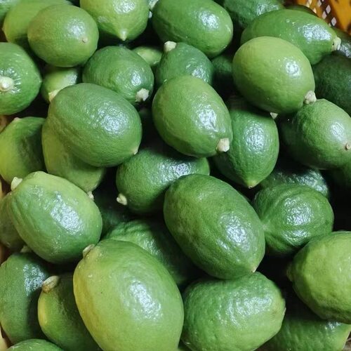 新鲜现摘无耔广东香水柠檬
