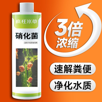 疯狂水草硝化细菌鱼缸用水质净化