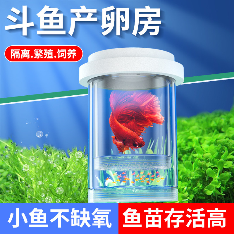 斗鱼产卵房小鱼产卵盒隔离孔雀鱼孕母临产房鱼巢繁育盒斗鱼缸中缸