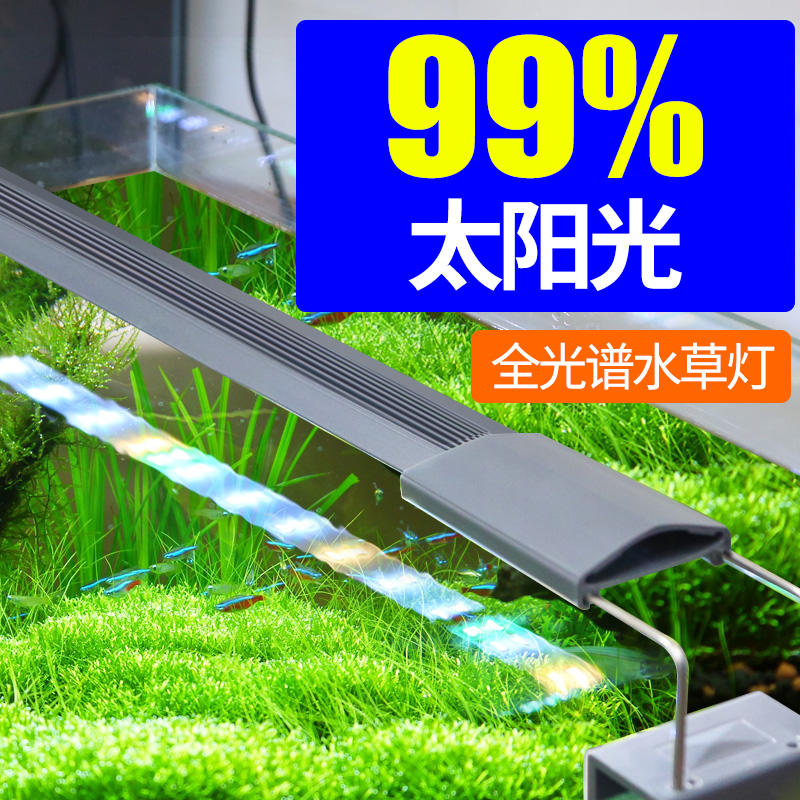 水草灯品牌精品汇聚 价格大全移动版 最宠网