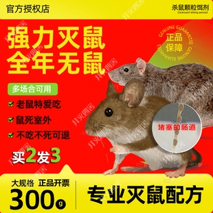 老鼠药家用药超强力室外死高效一闻锅端耗子老鼠神药灭鼠药非特效
