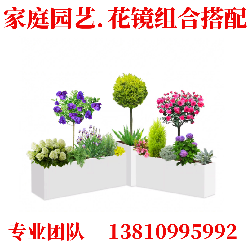 北京地区庭院景观设计施工园林绿化工程高档别墅花镜苗花卉植物