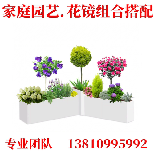 北京地区庭院景观设计施工园林绿化工程高档别墅花镜苗花卉植物