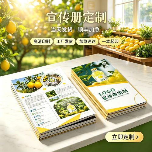 当天发货企业宣传册定制公司画册图册员工手册折页说明书印刷厂