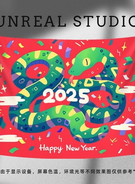 【蛇年新年】原创挂布背景布2025跨年宿舍红色挂毯卧室房间墙布